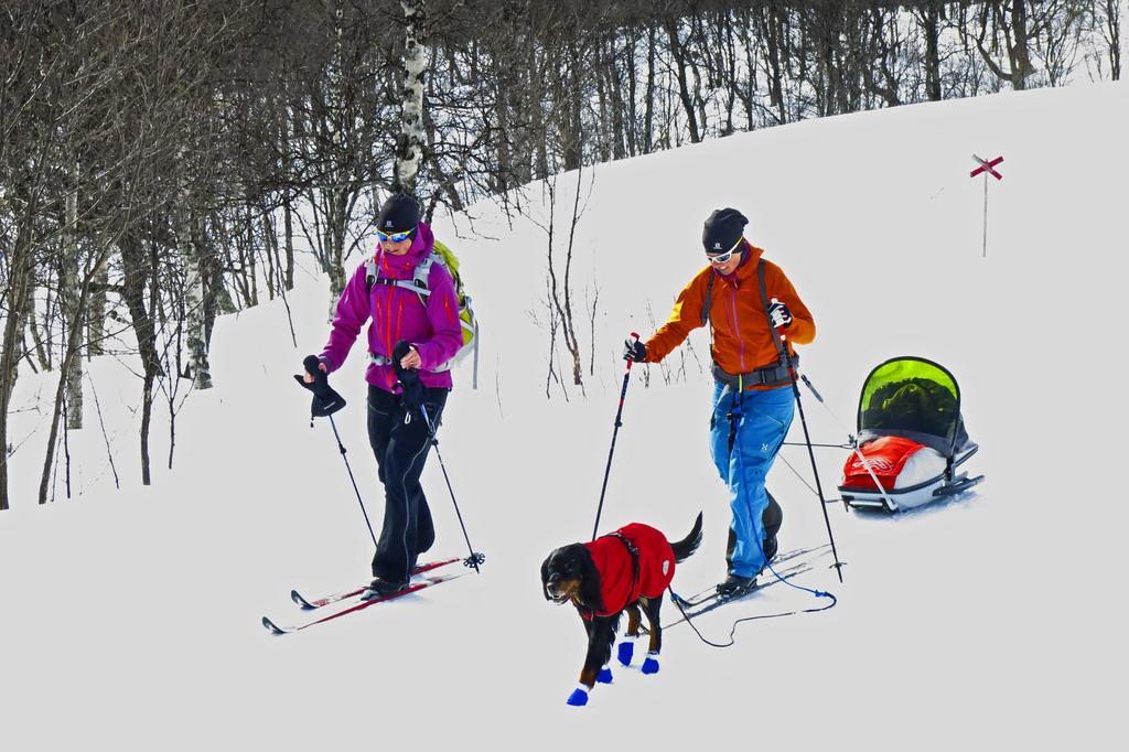 Eriksgardens Fjaellhotell Funäsdalen Kültér fotó